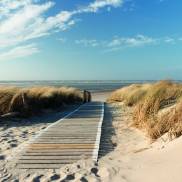 Ein malerischer Weg, der sanft zur Ostsee führt, umgeben von grünen Pflanzen und dem sanften Rauschen der Wellen.