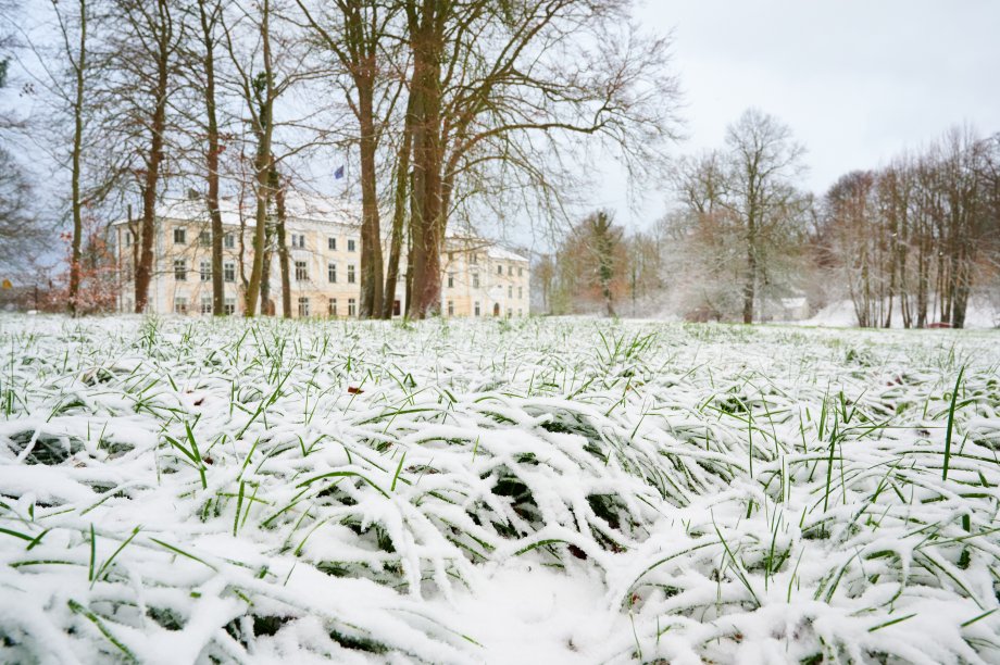 Behandlungsmöglichkeiten